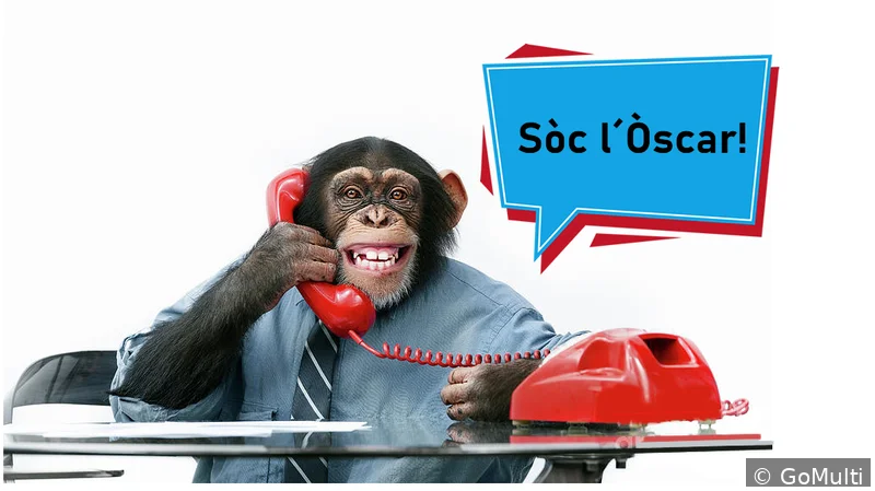 Disseny Web Lleida - by Òscar Carrasquer